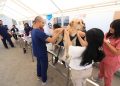 HOSPITAL VETERINARIO DE LA UABCS CIERRA SEMESTRE CON INTENSA ACTIVIDAD CLÍNICA Y ACADÉMICA