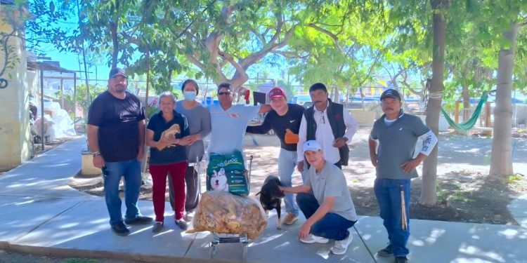 COORDINAN ACCIONES DE ATENCIÓN Y ALIMENTACIÓN PARA PERROS EN SITUACIÓN DE CALLE EN CSL