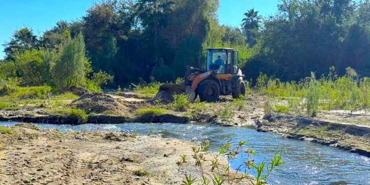 COORDINAN ACCIONES DE ATENCIÓN Y ALIMENTACIÓN PARA PERROS EN SITUACIÓN DE CALLE EN CSL