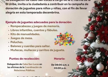 INFORMA AYUNTAMIENTO DE LOS CABOS SOBRE LA SUSPENSIÓN TEMPORAL DEL SERVICIO DE TRANSPORTE PÚBLICO POR AÑO NUEVO