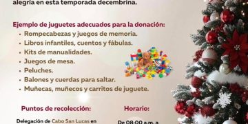 INFORMA AYUNTAMIENTO DE LOS CABOS SOBRE LA SUSPENSIÓN TEMPORAL DEL SERVICIO DE TRANSPORTE PÚBLICO POR AÑO NUEVO
