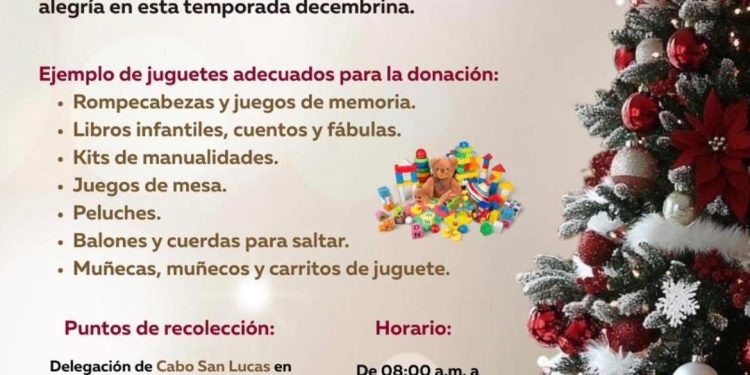 INFORMA AYUNTAMIENTO DE LOS CABOS SOBRE LA SUSPENSIÓN TEMPORAL DEL SERVICIO DE TRANSPORTE PÚBLICO POR AÑO NUEVO