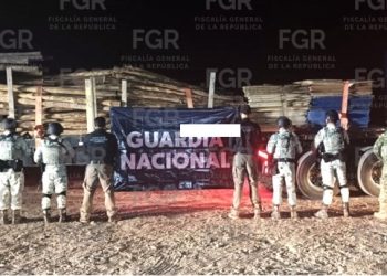 EN CATEO, FGR ASEGURA PRODUCTOS MADERABLES EN UN INMUEBLE DE MULEGÉ, BAJA CALIFORNIA SUR