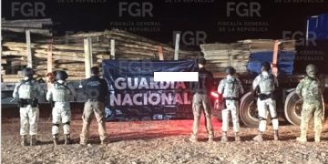 EN CATEO, FGR ASEGURA PRODUCTOS MADERABLES EN UN INMUEBLE DE MULEGÉ, BAJA CALIFORNIA SUR