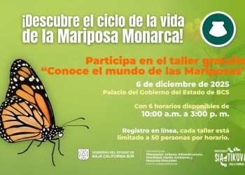 MANTIENE INVI LA VIGENCIA DEL PROGRAMA “PESO A PESO” HASTA EL 19 DE DICIEMBRE