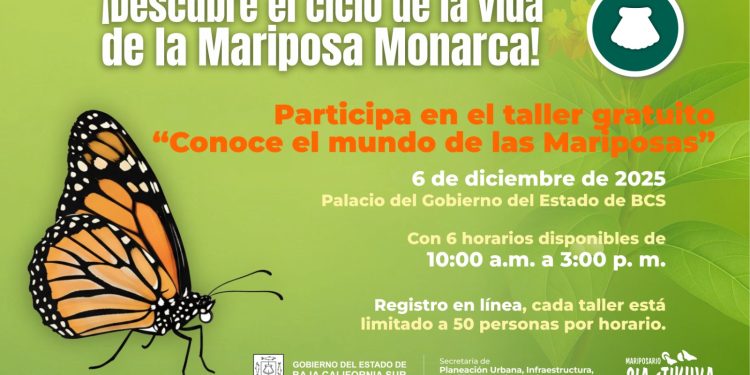 MANTIENE INVI LA VIGENCIA DEL PROGRAMA “PESO A PESO” HASTA EL 19 DE DICIEMBRE