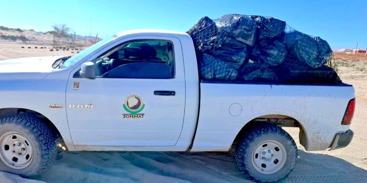    IMPULSA DIF LOS CABOS DESARROLLO EDUCATIVO Y SOCIAL DE MUJERES BENEFICIARIAS DE PAMAR