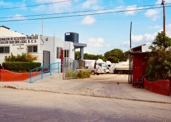 HABILITAN CENTROS DE ACOPIO PARA ÁRBOLES DE NAVIDAD NATURALES EN LOS CABOS