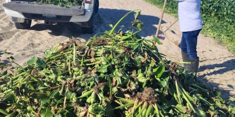 REANUDARÁ ATENCIÓN CIUDADANA HORARIO EXTENDIDO EN SAN JOSÉ DEL CABO