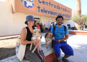 RECOMENDACIONES PARA EL CUIDADO RESPONSABLE DE MASCOTAS DURANTE LA TEMPORADA INVERNAL
