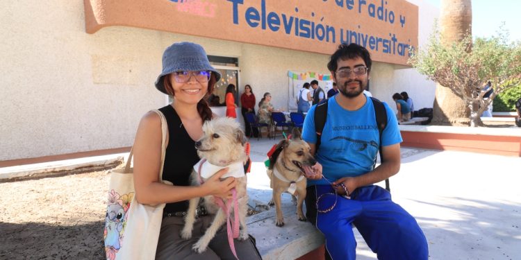 RECOMENDACIONES PARA EL CUIDADO RESPONSABLE DE MASCOTAS DURANTE LA TEMPORADA INVERNAL