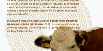 GOBIERNO MUNICIPAL INFORMA SOBRE LA REVALIDACIÓN DEL TÍTULO DE MARCAS DE HERRAR