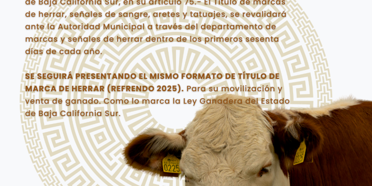 GOBIERNO MUNICIPAL INFORMA SOBRE LA REVALIDACIÓN DEL TÍTULO DE MARCAS DE HERRAR