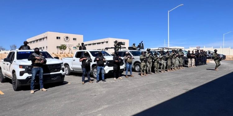 EVITA PGJE QUE MÁS DE 30 MIL DOSIS DE DROGA LLEGUE A LAS FAMILIAS EN BCS DURANTE EL 2025