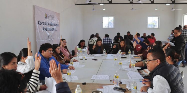 LA CONSULTA PARA LA LEY DE PERSONAS AUTISTAS CONTINÚA EN VIZCAINO CON ACTIVA PARTICIPACIÓN DE LA CIUDADANÍA