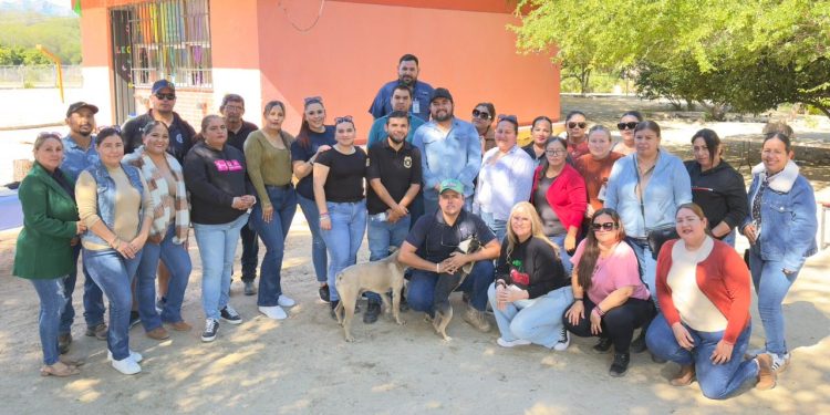 INICIA AYUNTAMIENTO DE LOS CABOS ENTREGA DE ALFALFA A BAJO COSTO PARA PRODUCTORES GANADEROS