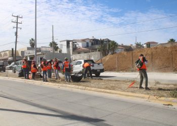 PONE EN MARCHA AYUNTAMIENTO DE LOS CABOS SEGUNDA ETAPA DEL PROGRAMA EMPLEO TEMPORAL