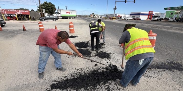 PONE EN MARCHA AYUNTAMIENTO DE LOS CABOS SEGUNDA ETAPA DEL PROGRAMA EMPLEO TEMPORAL