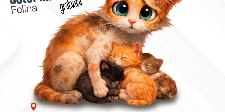 ZOFEMAT CELEBRA 2DO FORO CONSERVACIÓN DE LAS PLAYAS “ TRANSFORMANDO LA EDUCACIÓN AMBIENTAL “