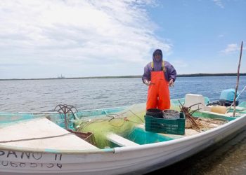 GOBIERNO DE BCS DESTACA EL ESFUERZO DE PESCADORES Y ACUICULTORES EN EL DÍA MUNDIAL DEL PESCADOR