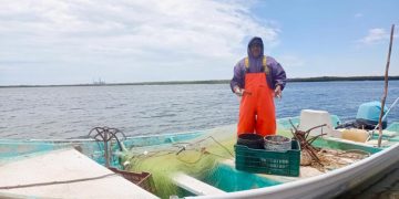GOBIERNO DE BCS DESTACA EL ESFUERZO DE PESCADORES Y ACUICULTORES EN EL DÍA MUNDIAL DEL PESCADOR