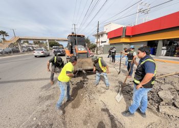 EL PROGRAMA PERMANENTE CAZA BACHES ATIENDE DIVERSOS PUNTOS DE LA COLONIA SANTA ROSA EN SAN JOSÉ DEL CABO