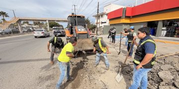 EL PROGRAMA PERMANENTE CAZA BACHES ATIENDE DIVERSOS PUNTOS DE LA COLONIA SANTA ROSA EN SAN JOSÉ DEL CABO