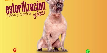 PRESENTA CINEMA VAGABUNDO SU CARTELERA DE ENERO 2026 EN LOS CABOS