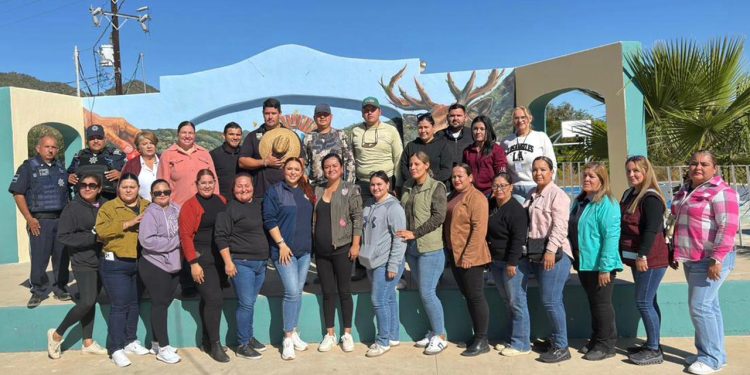 HABILITAN CENTROS DE ACOPIO PARA ÁRBOLES DE NAVIDAD NATURALES EN LOS CABOS