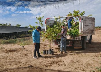 FORTALECE SNE COLABORACIÓN CON LA CROC PARA IMPULSAR EL EMPLEO FORMAL EN BCS