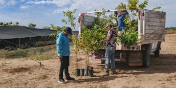 FORTALECE SNE COLABORACIÓN CON LA CROC PARA IMPULSAR EL EMPLEO FORMAL EN BCS