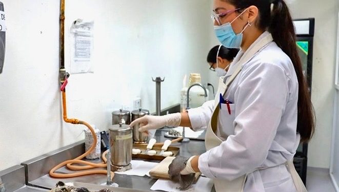 GOBIERNO DEL ESTADO FORTALECE CONDICIONES  LABORALES EN LA UNIDAD DE EVENTOS ESPECIALES