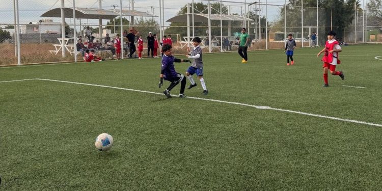 LOGRA PGJE VINCULACIÓN A PROCESO DE MUJER POR VIOLENCIA FAMILIAR EN SAN JOSÉ DEL CABO