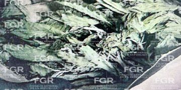 OBTIENE FGR VINCULACIÓN A PROCESO CONTRA UNA PERSONA DETENIDA EN CATEO, EN COMONDÚ, BAJA CALIFORNIA SUR