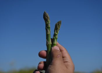 SEPUIMM ANUNCIA NUEVO DOMICILIO PARA ÁREAS DE MEDIO AMBIENTE, PATRIMONIO Y TRANSPORTE