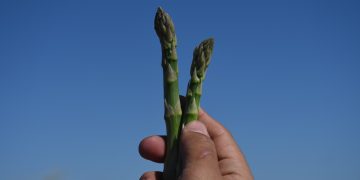 SEPUIMM ANUNCIA NUEVO DOMICILIO PARA ÁREAS DE MEDIO AMBIENTE, PATRIMONIO Y TRANSPORTE