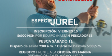    CELEBRAN EN LOS CABOS LA TERCERA EDICIÓN DEL BAZAR JUVENIL