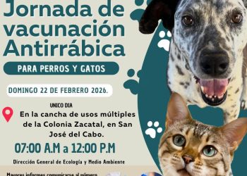    CELEBRAN EN LOS CABOS LA TERCERA EDICIÓN DEL BAZAR JUVENIL