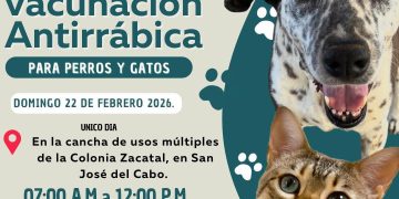    CELEBRAN EN LOS CABOS LA TERCERA EDICIÓN DEL BAZAR JUVENIL