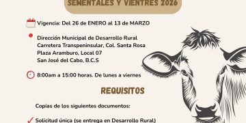CON ASISTENCIA RÉCORD CELEBRAN INAUGURACIÓN DE LAS FIESTAS TRADICIONALES LA CANDELARIA 2026