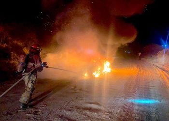 AYUNTAMIENTO DE LOS CABOS Y API BCS REALIZAN TRABAJOS DE MANTENIMIENTO EN EL CENTRO DE CABO SAN LUCAS