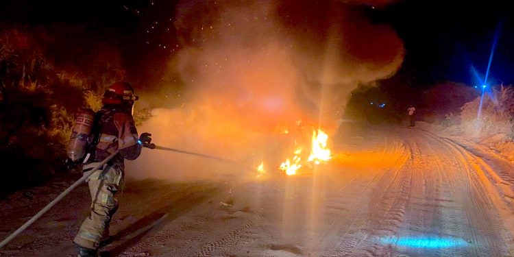 AYUNTAMIENTO DE LOS CABOS Y API BCS REALIZAN TRABAJOS DE MANTENIMIENTO EN EL CENTRO DE CABO SAN LUCAS