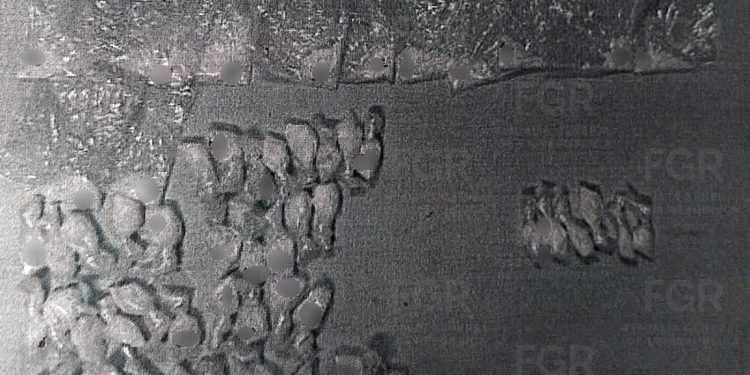 FGR OBTIENE VINCULACIÓN A PROCESO CONTRA TRES PERSONAS POR PORTACIÓN DE ARMAS Y POSESIÓN DE DROGAS EN COMONDÚ, BCS