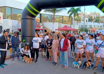 CELEBRAN CON ÉXITO LA PRIMERA CAMINATA CANINA EN CABO SAN LUCAS