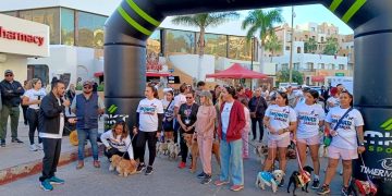 CELEBRAN CON ÉXITO LA PRIMERA CAMINATA CANINA EN CABO SAN LUCAS