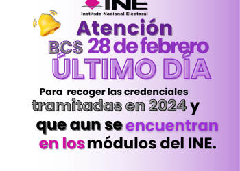 ÚLTIMOS DÍAS PARA RECOGER LA CREDENCIAL PARA VOTAR TRAMITADA EN 2024