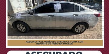 PGJE ASEGURA A UN HOMBRE Y UN VEHÍCULO CON REPORTE DE ROBO EN BAHÍA TORTUGAS