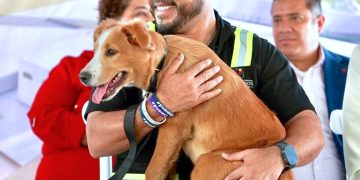 SERÁ LOS CABOS SEDE DEL V CONGRESO INTERNACIONAL POR EL BIENESTAR ANIMAL