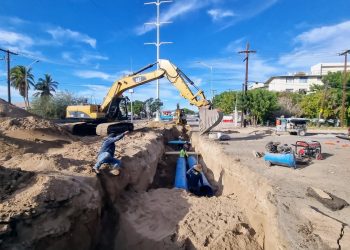 IMPULSAN GOBIERNO DEL ESTADO Y SOCIEDAD CIVIL NUEVA LEY DE AUTISMO EN BCS