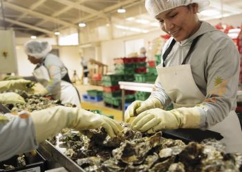 ASÍ SE VIVE EL LIDERAZGO FEMENINO EN LA PRODUCCIÓN RESPONSABLE DE OSTIONES